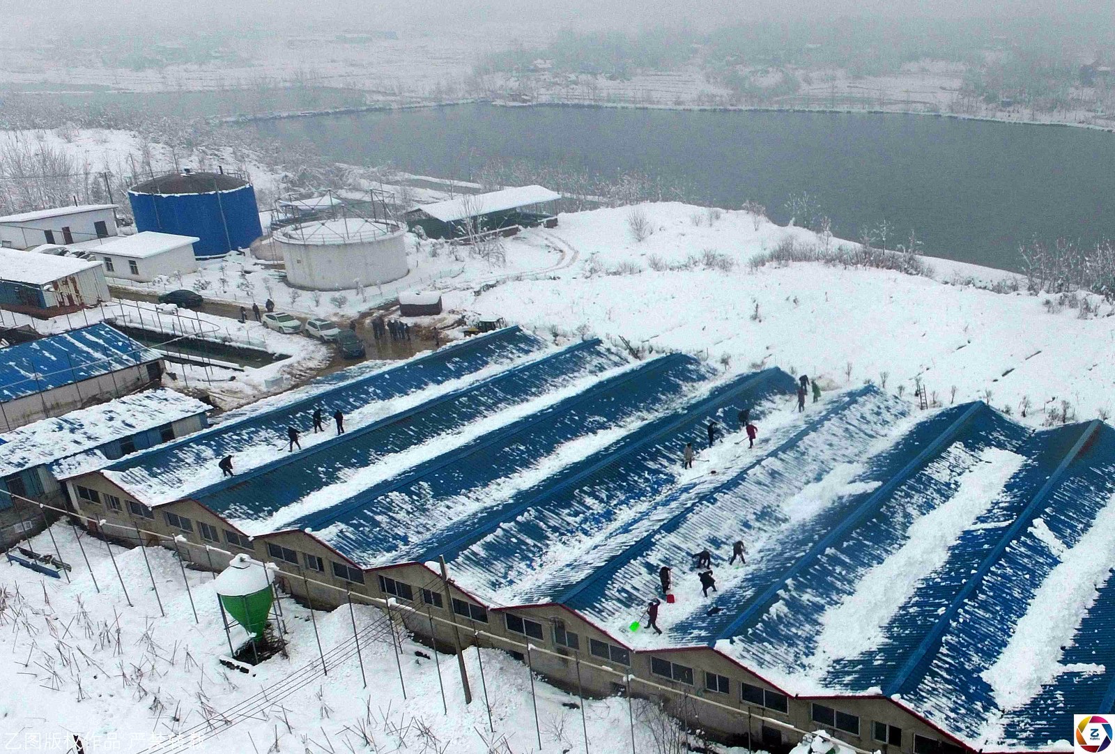 養(yǎng)豬知識(shí)|冬季寒潮來(lái)襲，豬場(chǎng)防寒保溫很重要